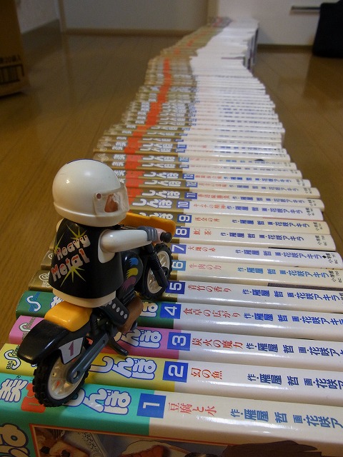 RIMG0001a (9)