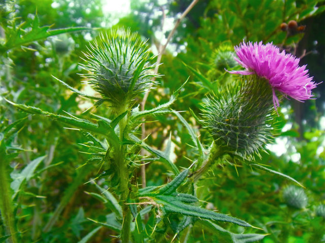 R0018386