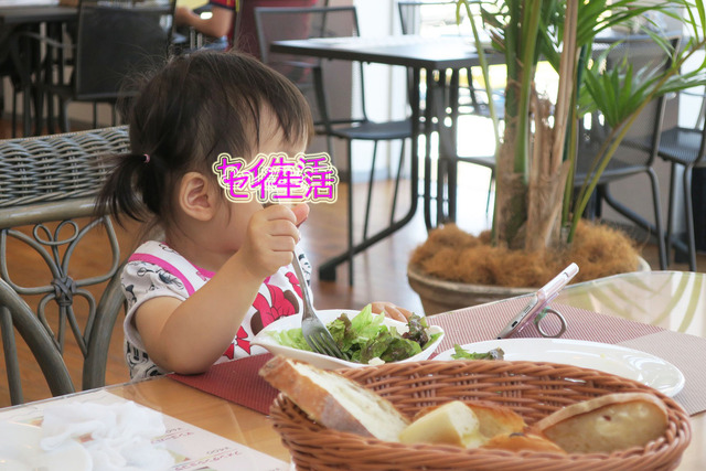 ̯¸«Åç¥ì¥¹¥È¥é¥ó¥È¥ê¥à (18)