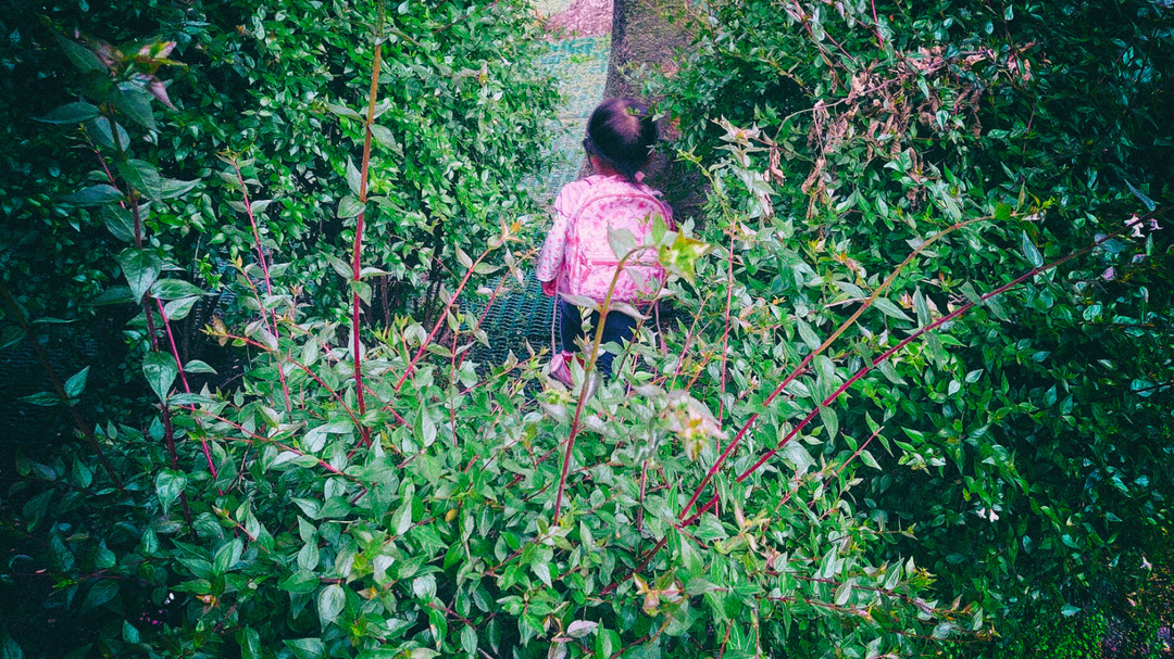 »¶Êâ (8)