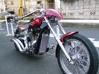 steed2