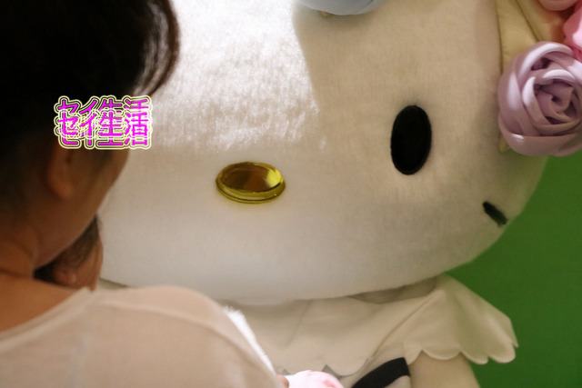 ¥µ¥ó¥ê¥ª¥Ô¥å¡¼¥í¥é¥ó¥É (16)