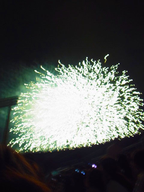 ¿ÀµÜ³°±ñ²Ö²ÐÂç²ñ2011 (4)