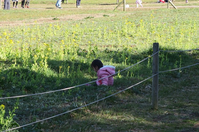 f2d29f38.jpg