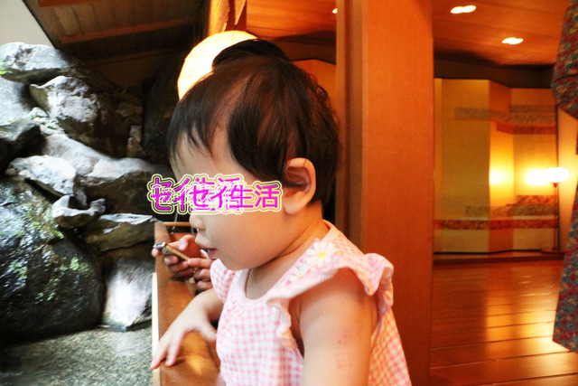 f3d2f658.jpg