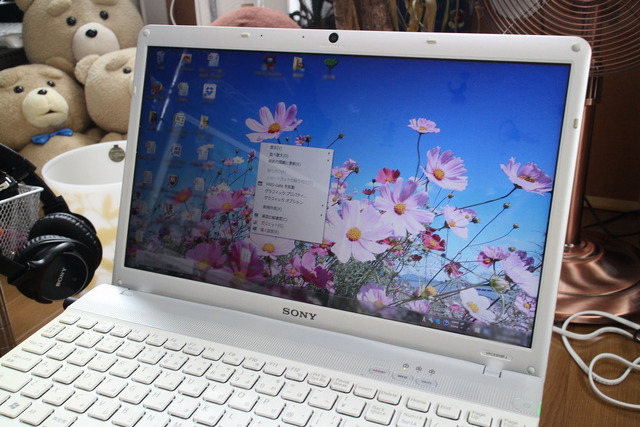 PCG-71131N (7)