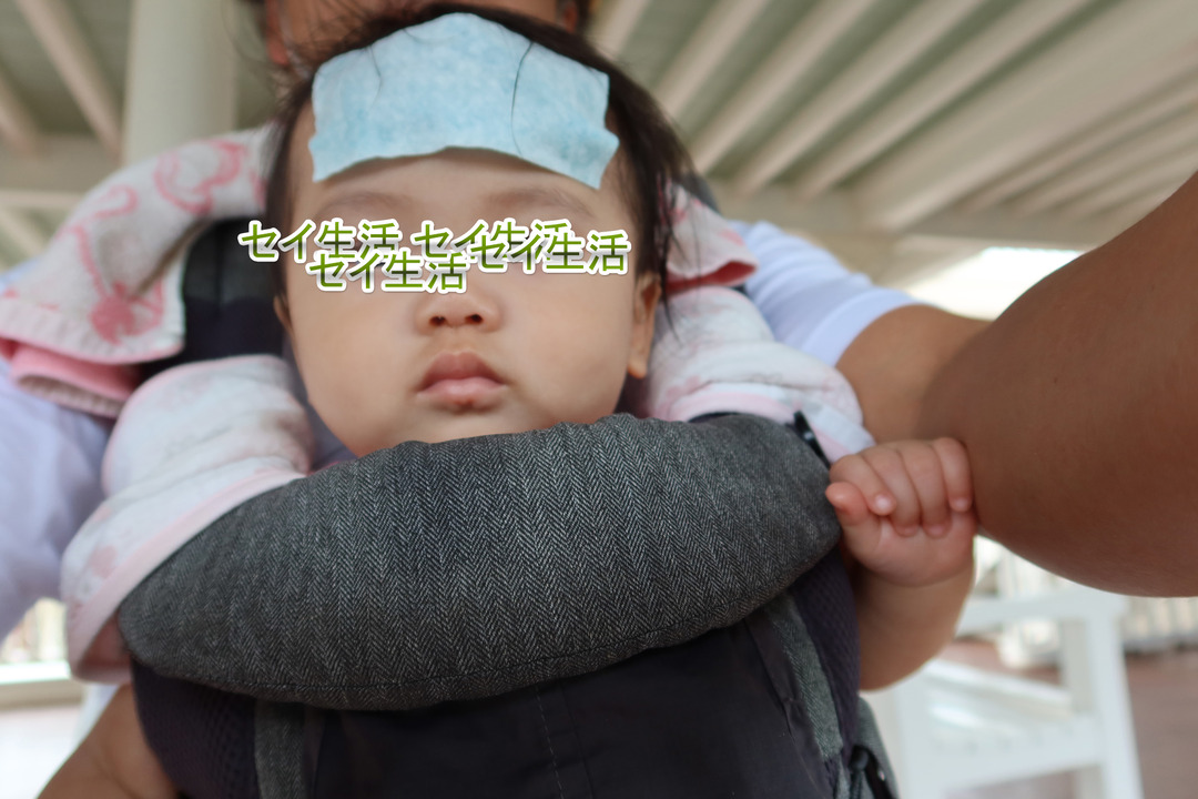 ¥Ç¥£¥º¥Ë¡¼¥é¥ó¥É (47)