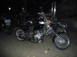 ¹õ¤¤STEED