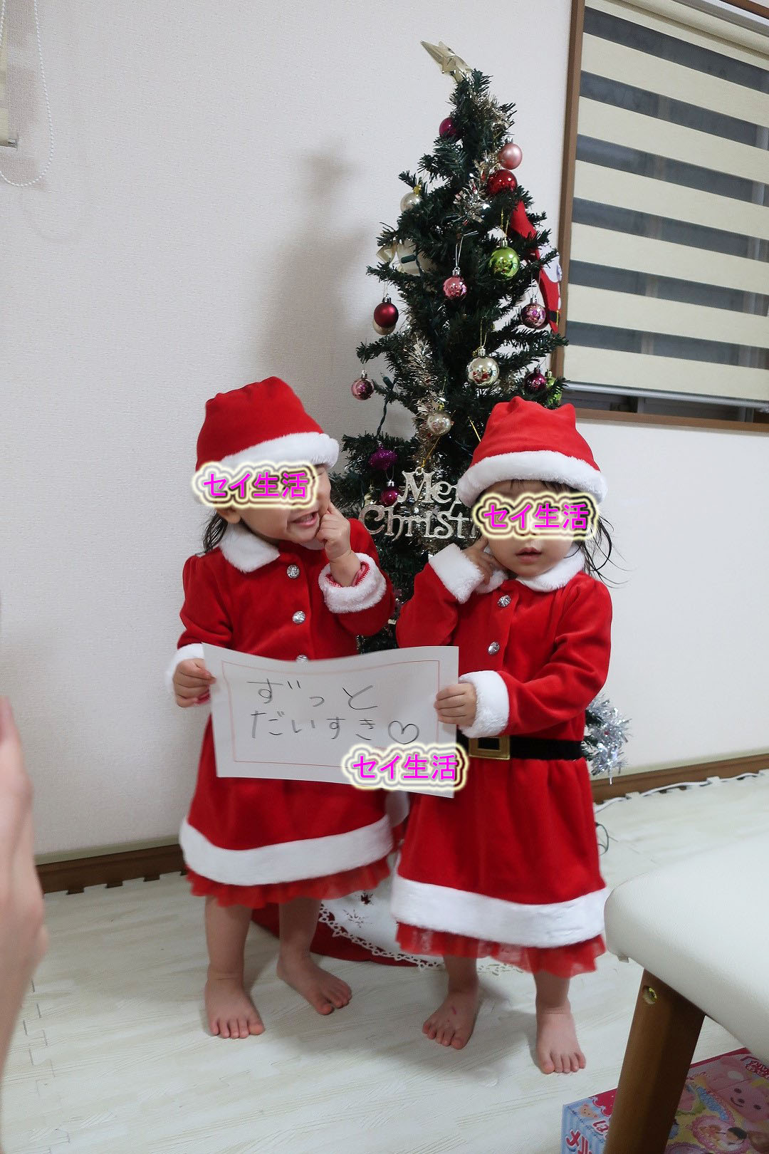 クリスマスプレゼント セイ生活