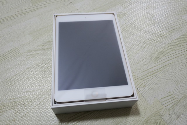 ipadmini4 (5)