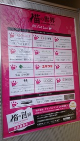 猫の世界1