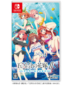 五等分_CSダミーケース_sw_y500_c
