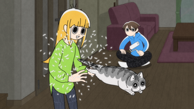 00 (1)