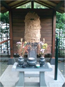 こ、これは…!