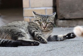 IMG_5855