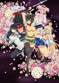 閃乱カグラキービジュ