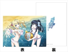 ☆【劇場版魔法科高校の劣等生】A4クリアファイル（HMV)
