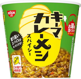 日清キーマカレーメシ_スパイシー