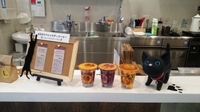 猫の世界17