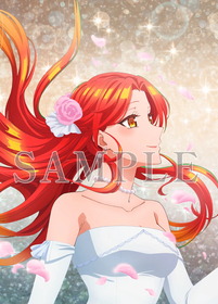Blu-ray上巻イラスト【ずたぼろ令嬢は姉の元婚約者に溺愛される」