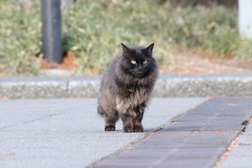 IMG_5830