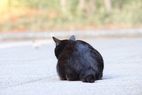 IMG_5826