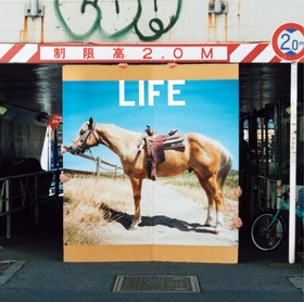 LIFE_初回盤JK写