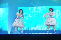 petit milady2