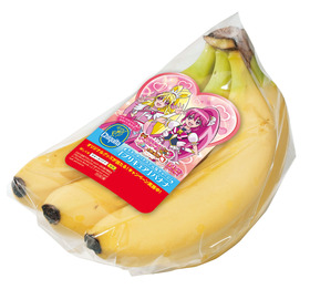 プリキュア2人_1203+のコピー