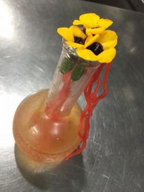花ちゃんのメデューサ