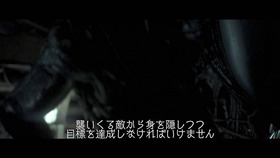 Suvivor Mode-1