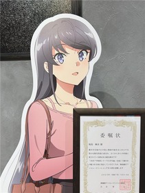 青ブタ_藤沢市002