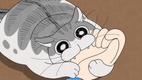 00 (1)
