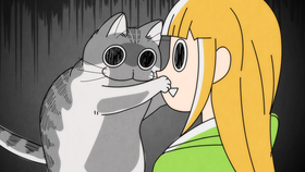 00 (3)