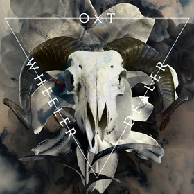 00 (3)