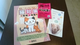 猫の世界21
