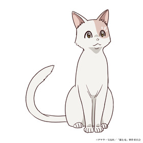 nekoryuu_chara-shirotae_c