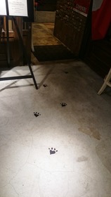 猫の世界4