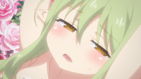 2_04