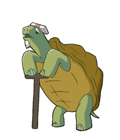 カメ社長