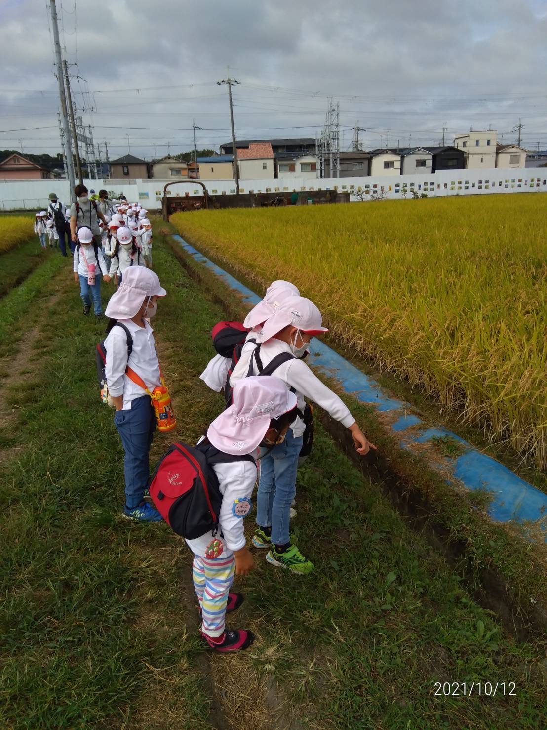芋掘りに行ってきたよ バラ組 マーガレット組 聖愛の日々 聖愛幼稚園 せいあい保育園ブログ 芋掘りに行ってきたよ バラ組 マーガレット組 聖愛の日々 聖愛幼稚園 せいあい保育園ブログ