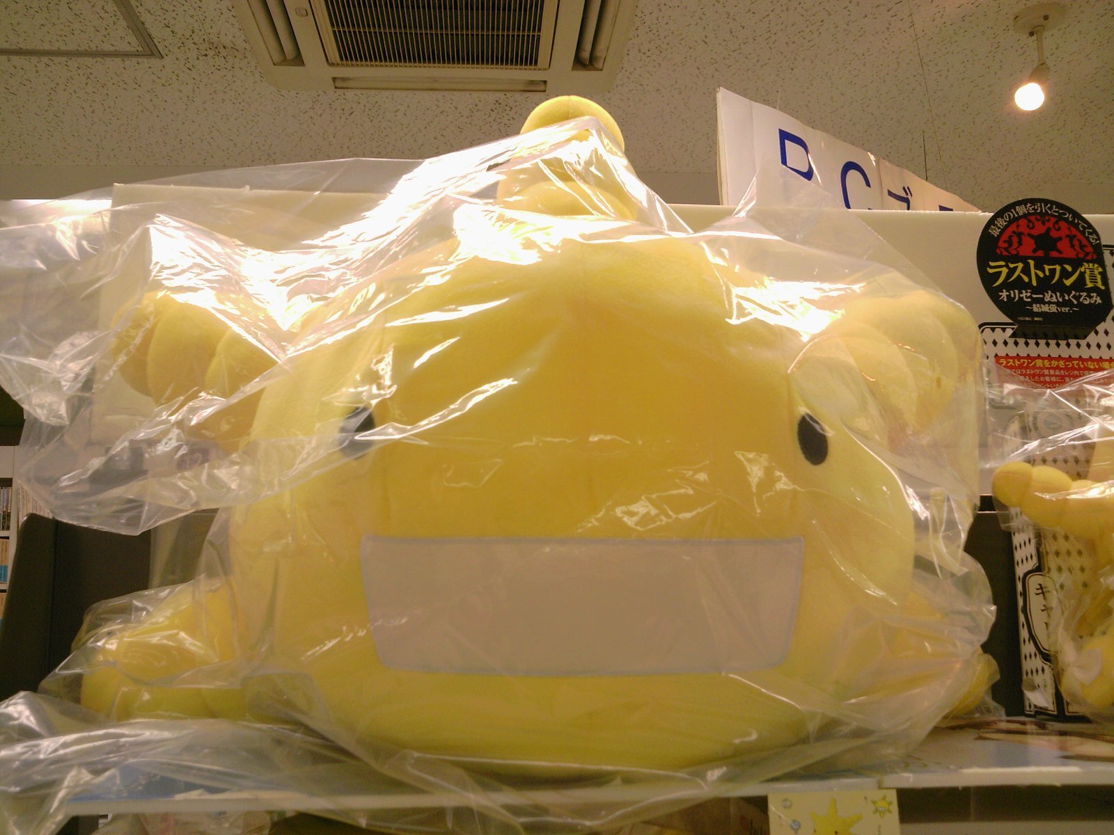 セール人気 レア もやしもん オリゼーぬいぐるみクッション 一番くじ 9a0b708e 商品は100 正規品のみ出品しており Www Cfscr Com