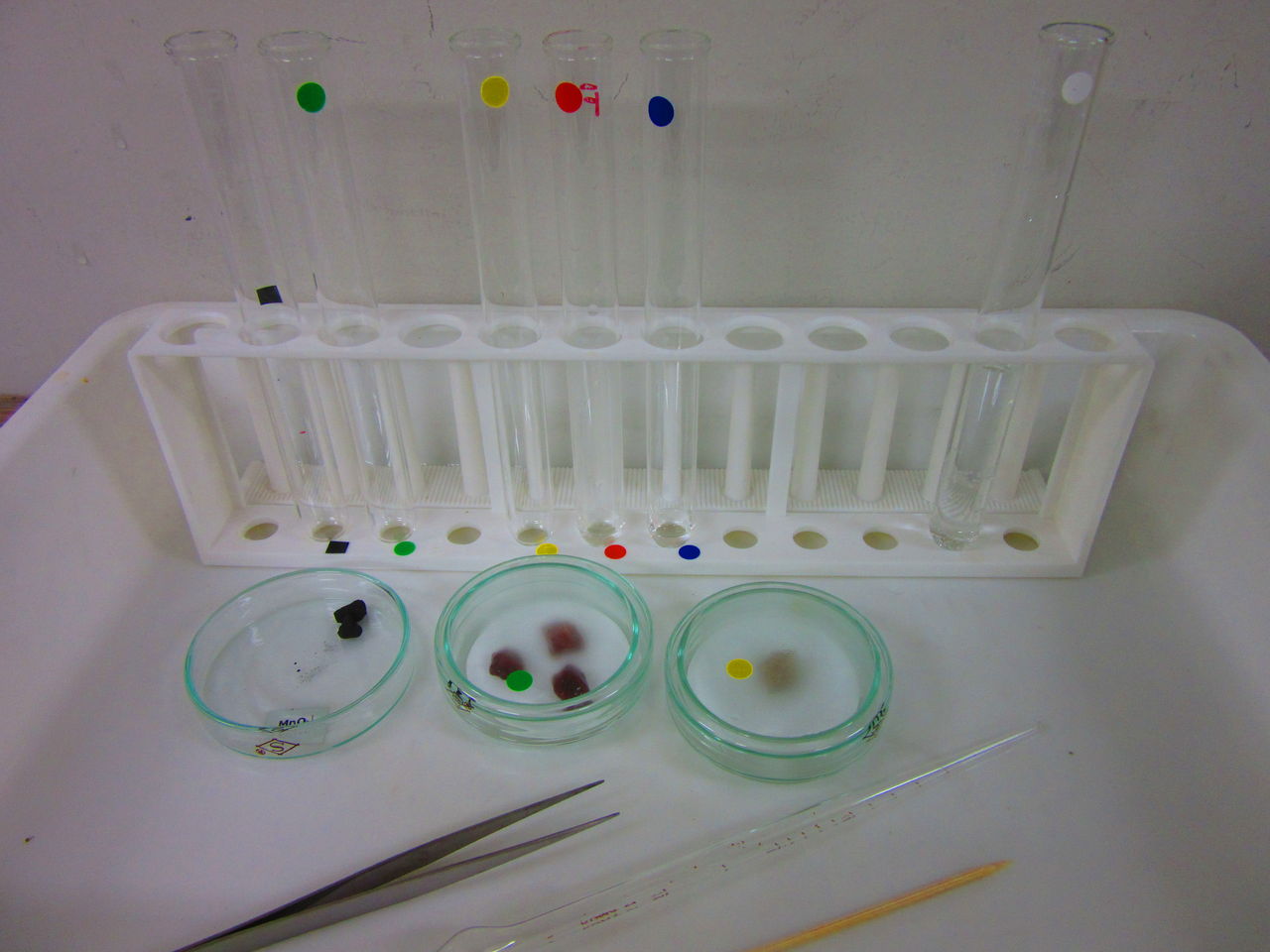 生物実験 酵素のはたらき カタラーゼ 生物実験室 生物同好会 中央大学杉並高等学校 生物実験 酵素のはたらき カタラーゼ 生物実験室 生物同好会 中央大学杉並高等学校