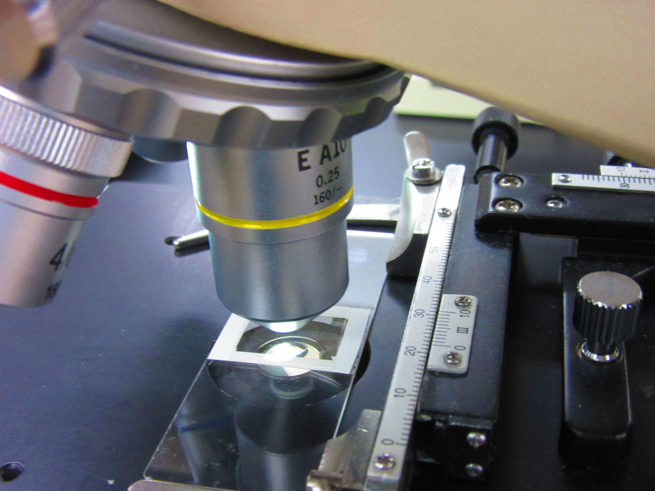 顕微鏡観察 生物実験室 生物同好会 中央大学杉並高等学校 顕微鏡観察 生物実験室 生物同好会 中央大学杉並高等学校