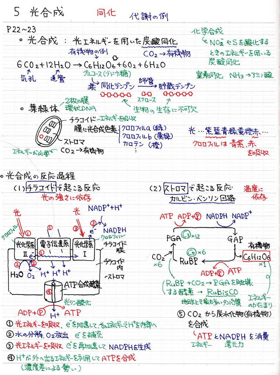 生物実験室 生物同好会 中央大学杉並高等学校