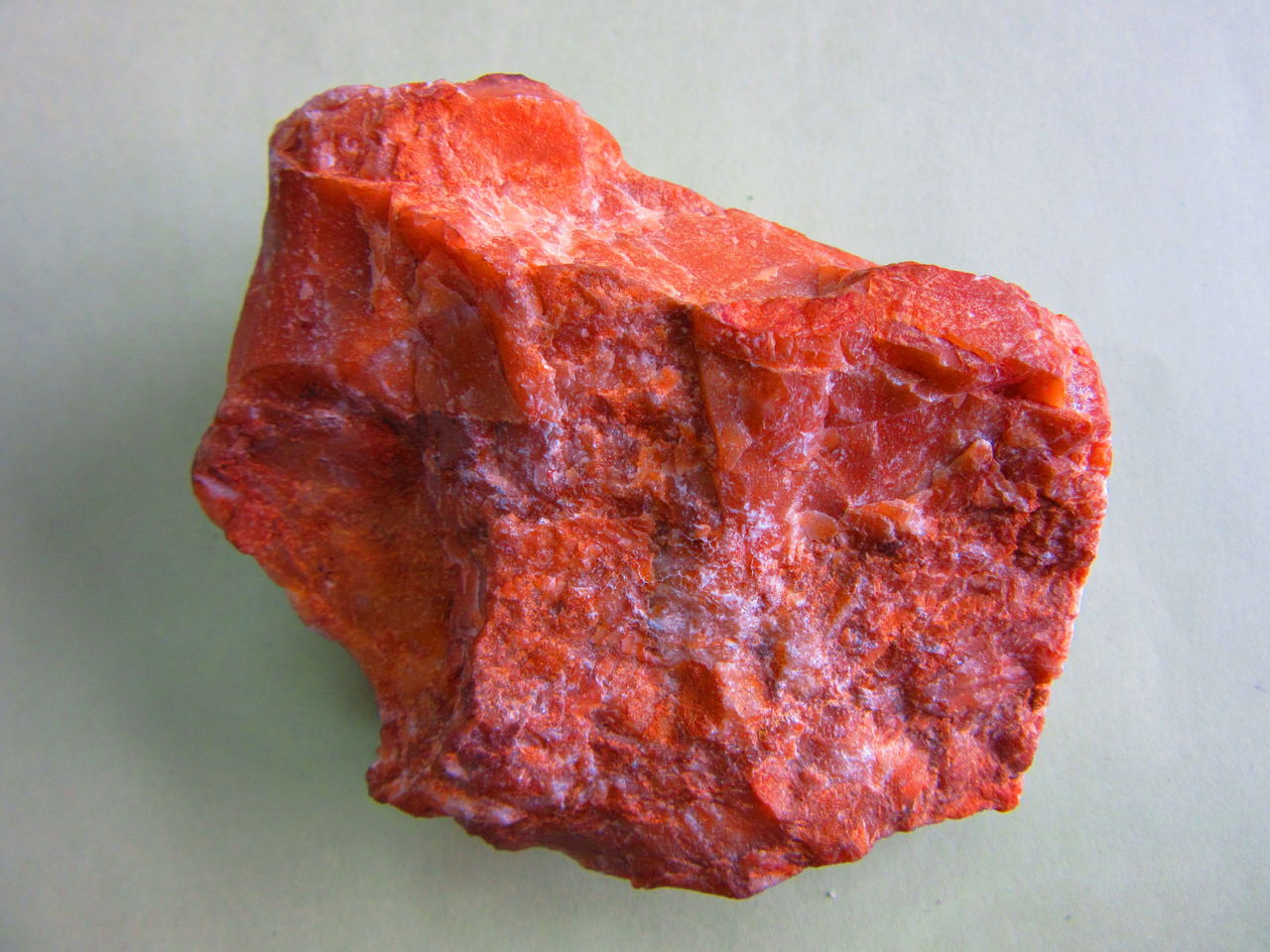 7 6チャート 生物実験室 生物同好会 中央大学杉並高等学校