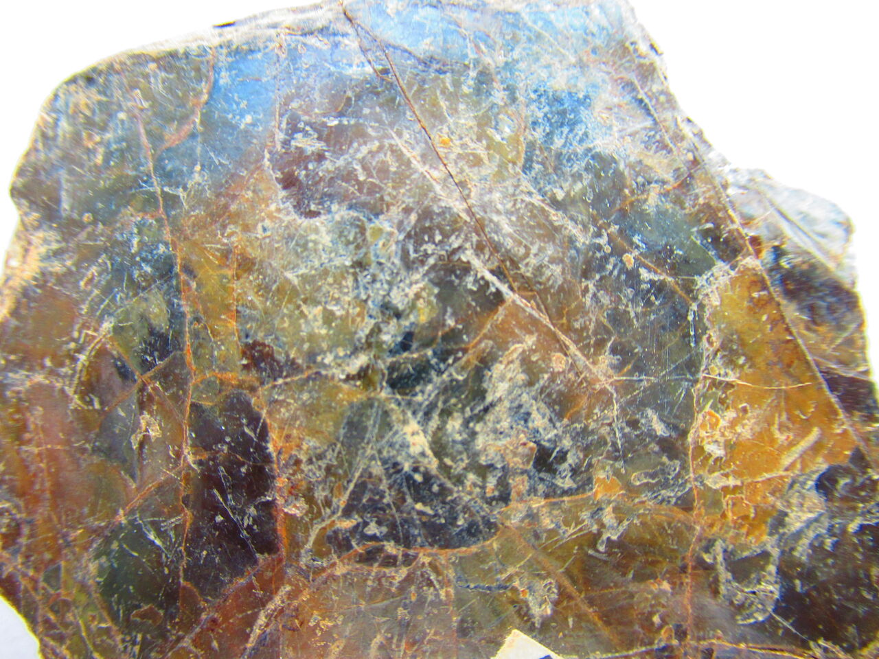 鉱物 97 黒雲母 生物実験室 生物同好会