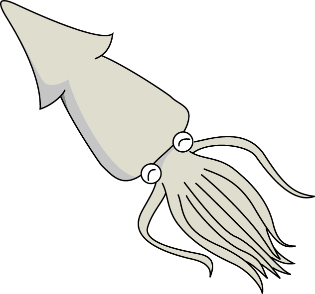 イカ 動画 体を点滅させて言葉を交わす巨大イカ 生命科学２chまとめ W