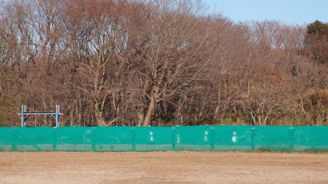 Pvロケ地探訪 ゆいかおり Puppy Love 踊ってみて 千葉県松戸市 ドッグラン松戸 編 そうだ 聖地に行こう Pvロケ地探訪 ゆいかおり Puppy Love 踊ってみて 千葉県松戸市 ドッグラン松戸 編 そうだ 聖地に行こう
