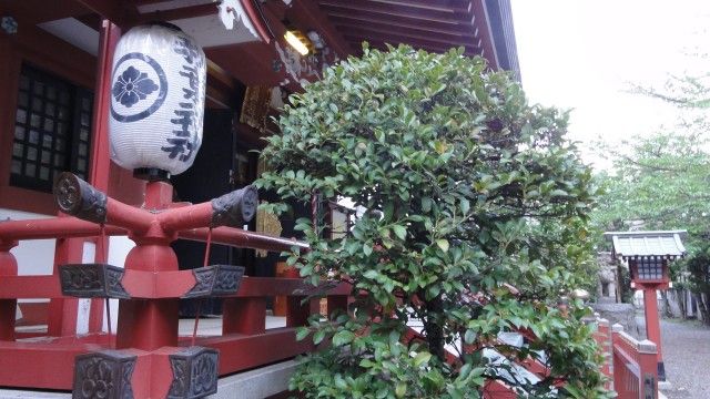 シュタインズゲート 舞台探訪 聖地巡礼 秋葉神社 ２話 編 そうだ 聖地に行こう